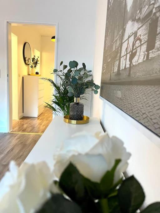 Stilvolle & Frisch Renovierte Unterkunft Oldemburgo Exterior foto